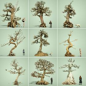 3D Stylised Dead Tree Collection